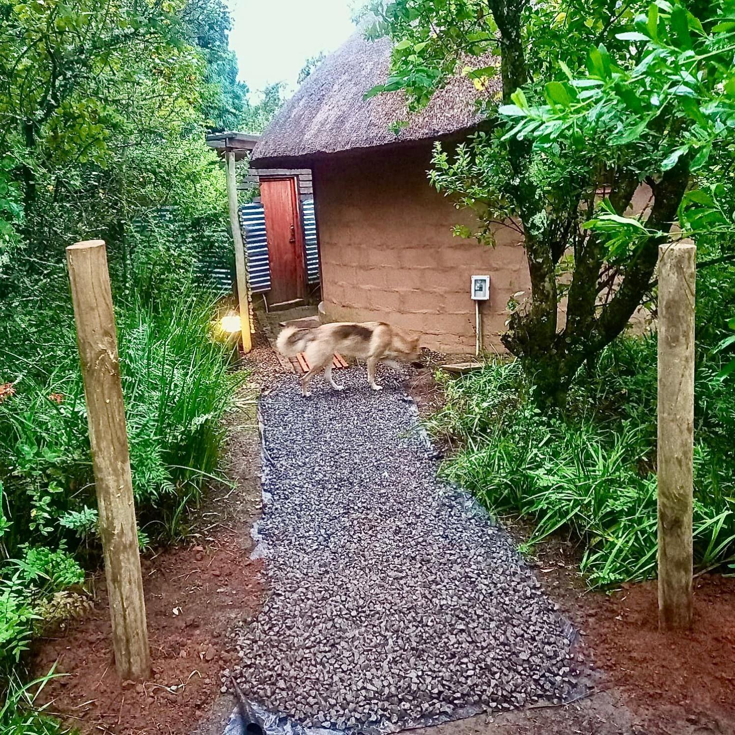 Drakensberg Inkosana Lodge Champagne Valley Dış mekan fotoğraf