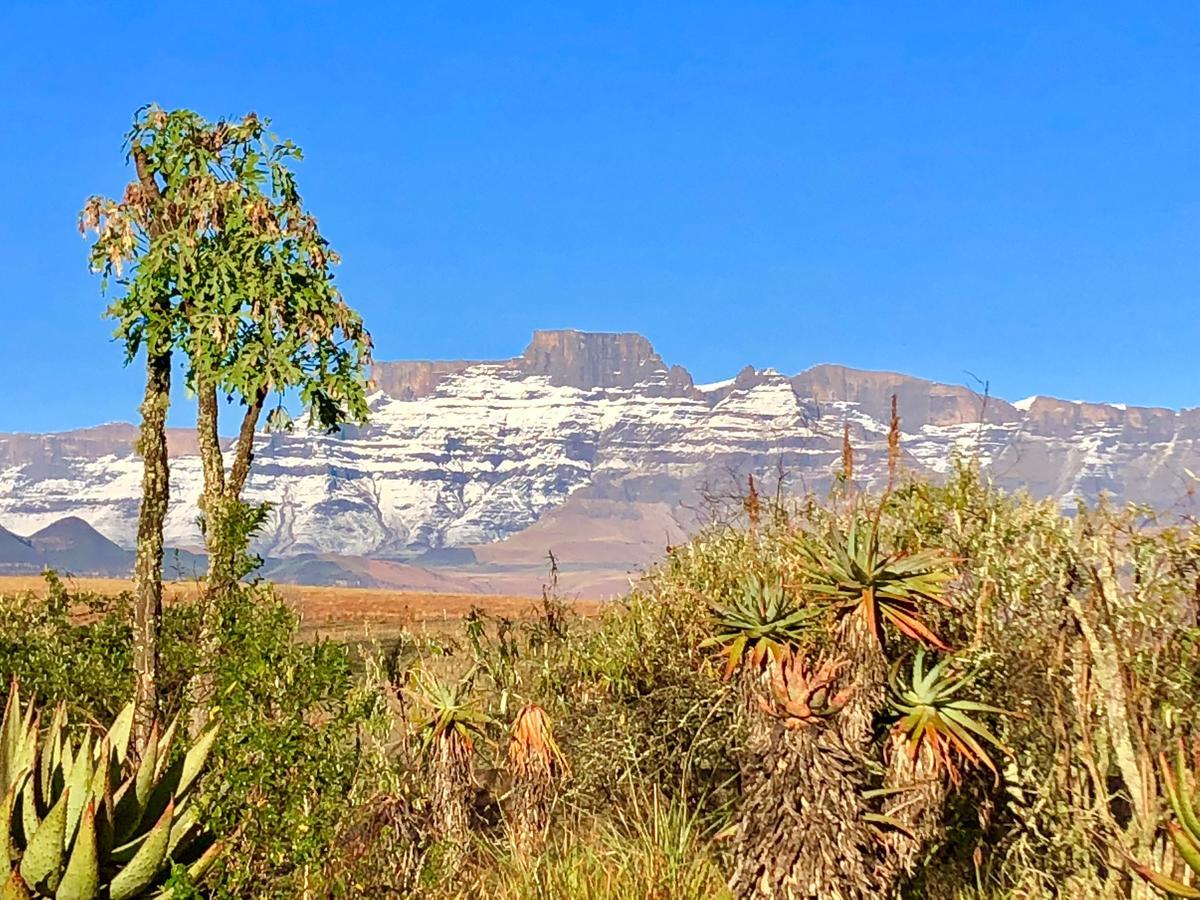Drakensberg Inkosana Lodge Champagne Valley Dış mekan fotoğraf
